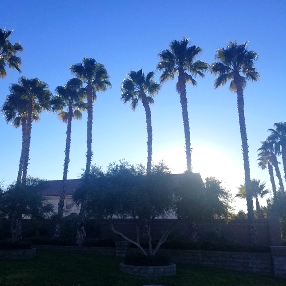 Meet your Posher, Posha - Picture 7 of 7